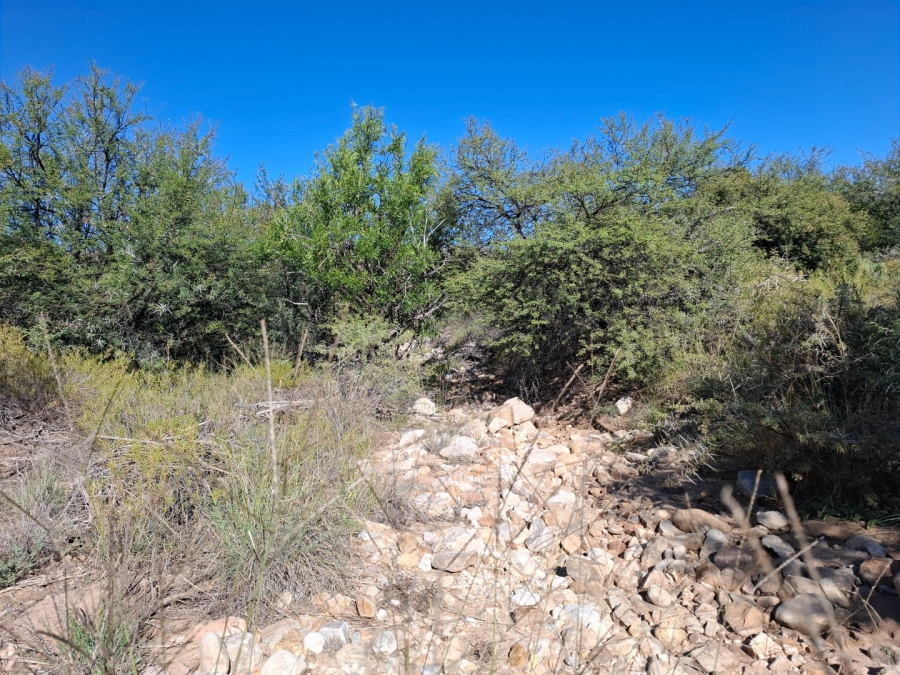  Bedroom Property for Sale in Ladismith Rural Western Cape